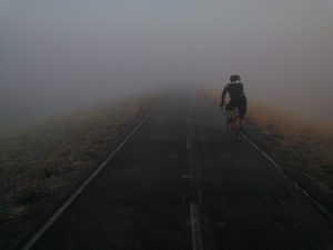 fog-ahead-on-road